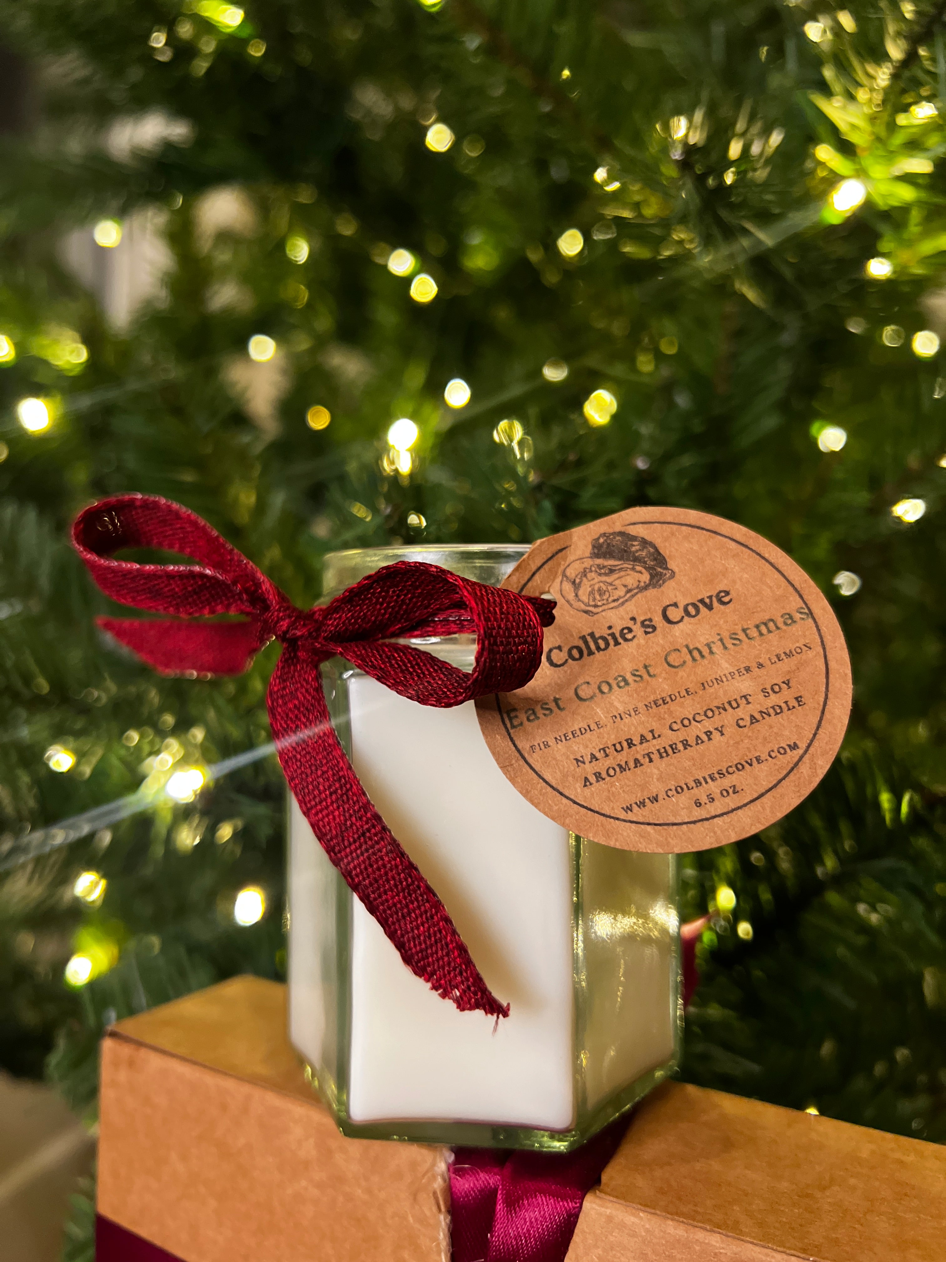 East Coast Christmas Coconut Soy Candle