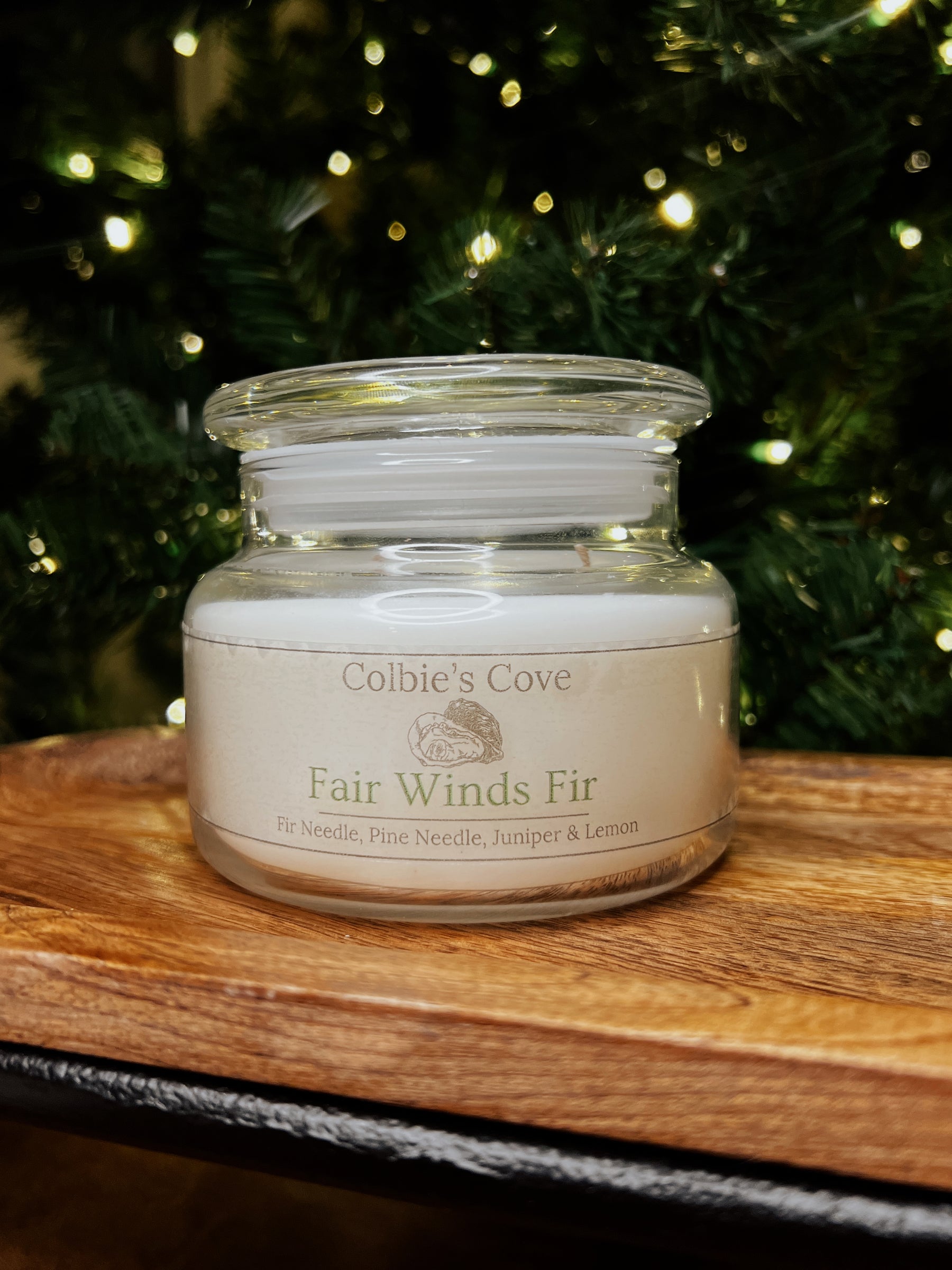 Fair Winds Fir Coconut Soy Candle