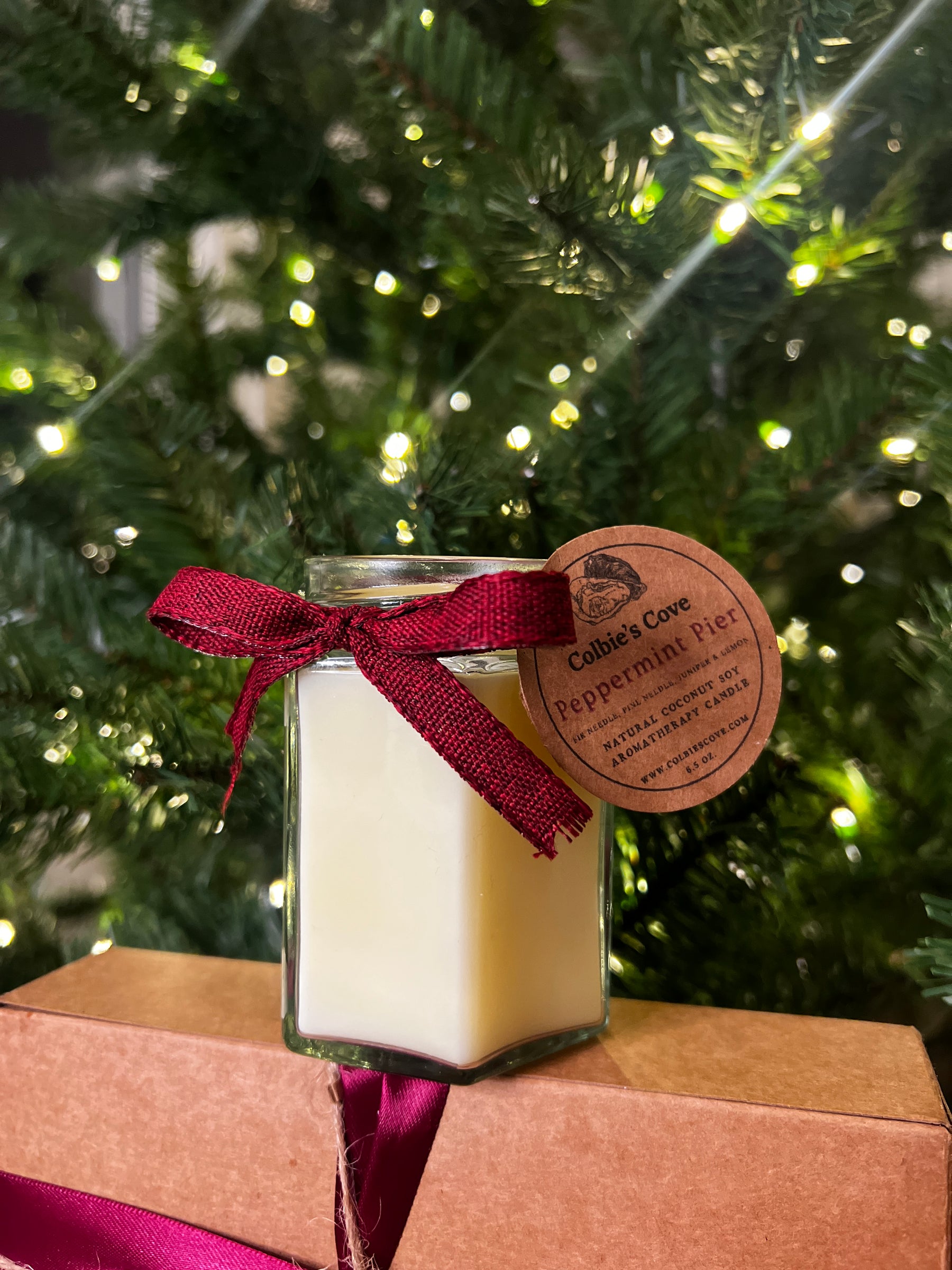 Peppermint Pier Coconut Soy Candle