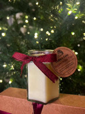 Peppermint Pier Coconut Soy Candle