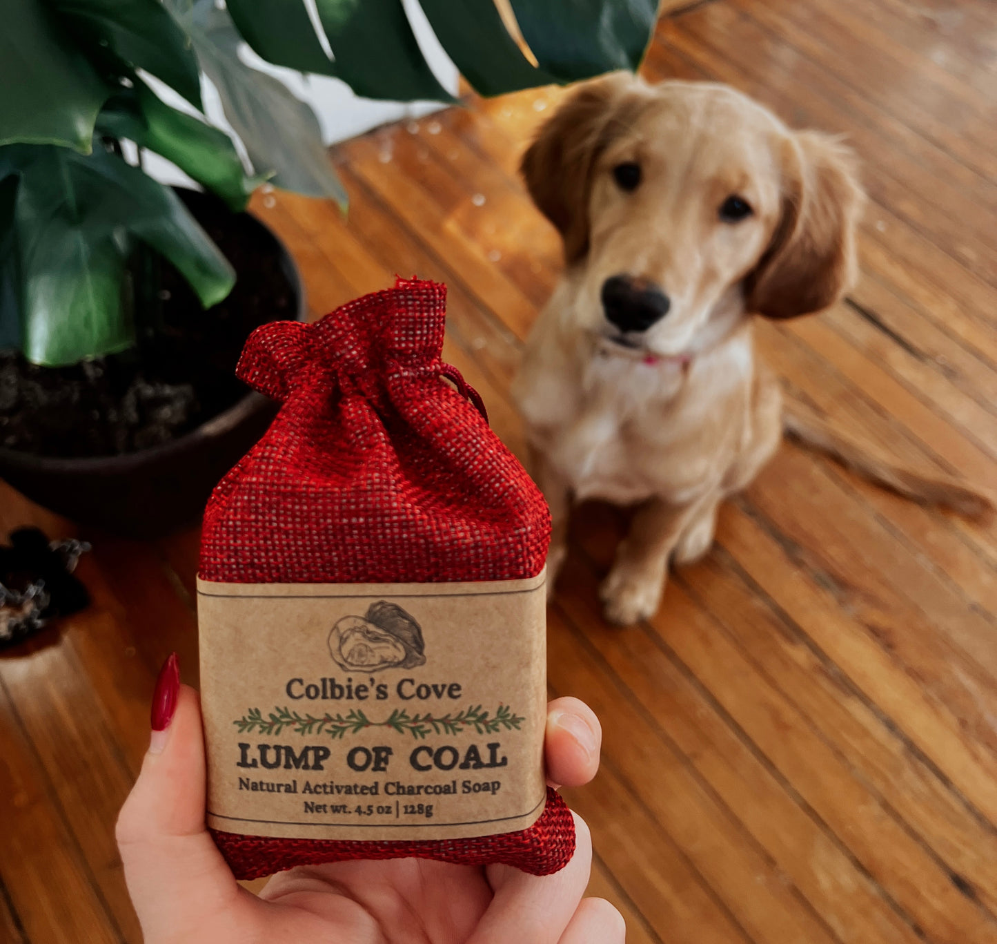 Lump of Coal