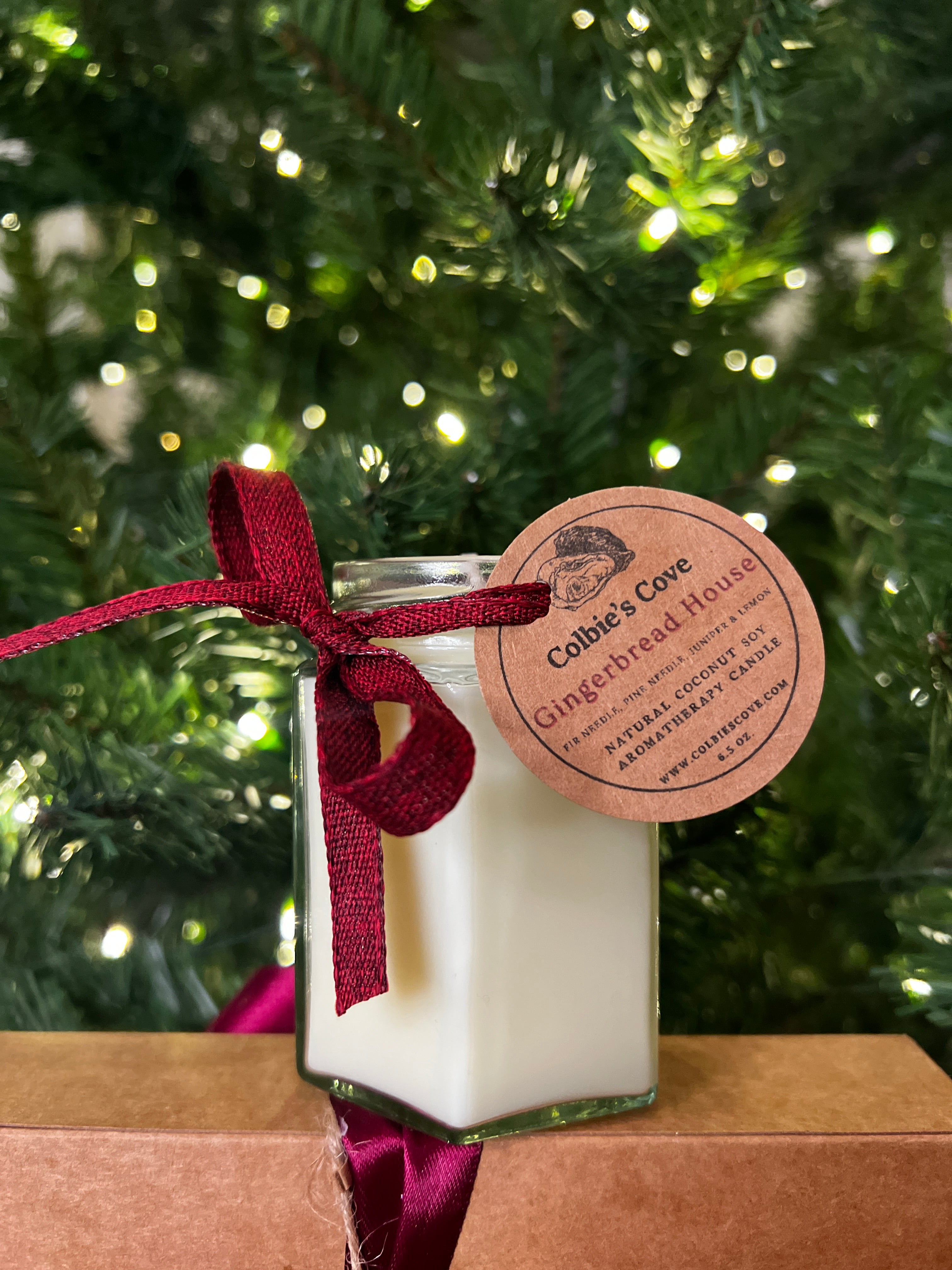 Gingerbread House Coconut Soy Candle