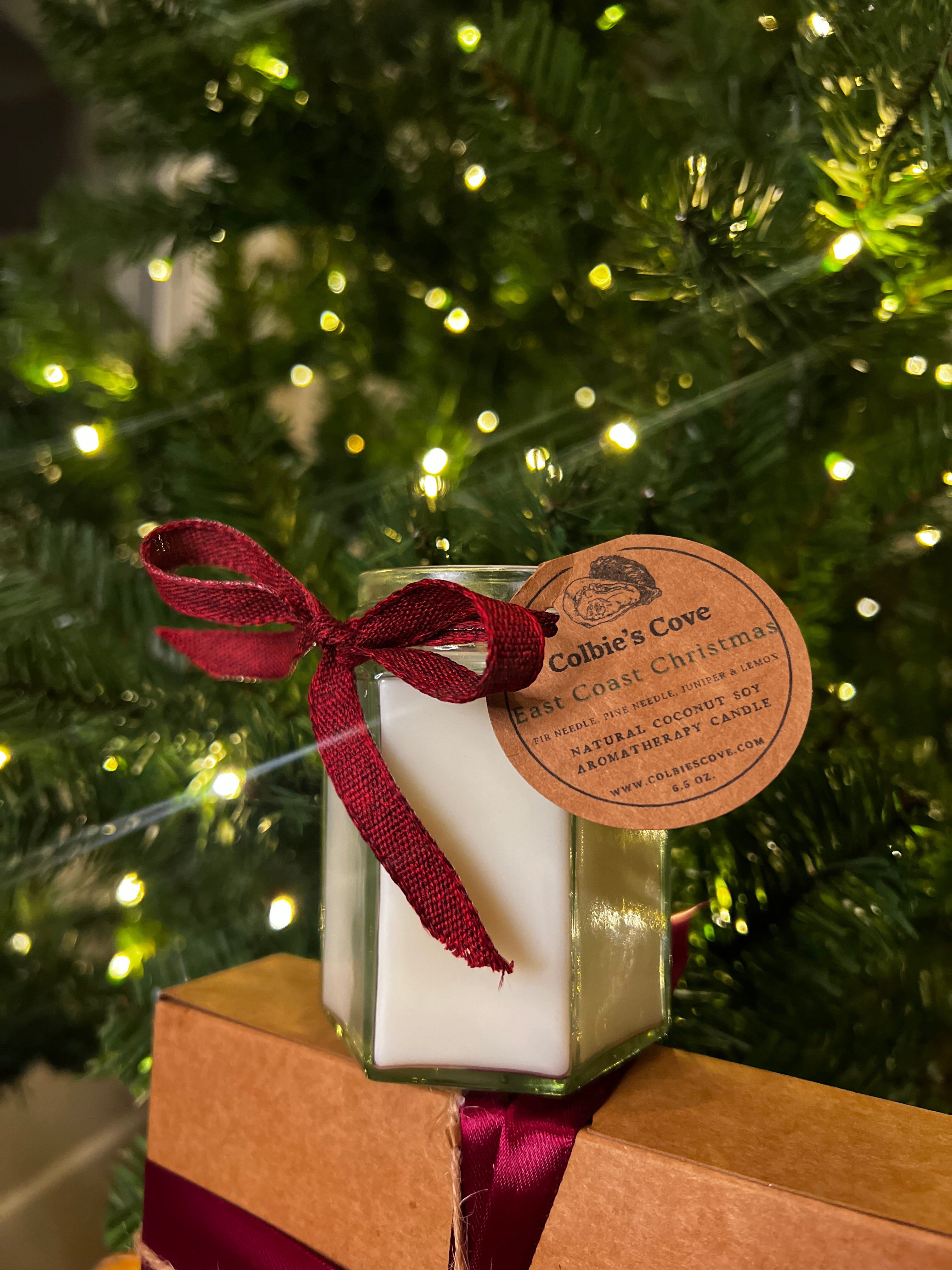 East Coast Christmas Coconut Soy Candle