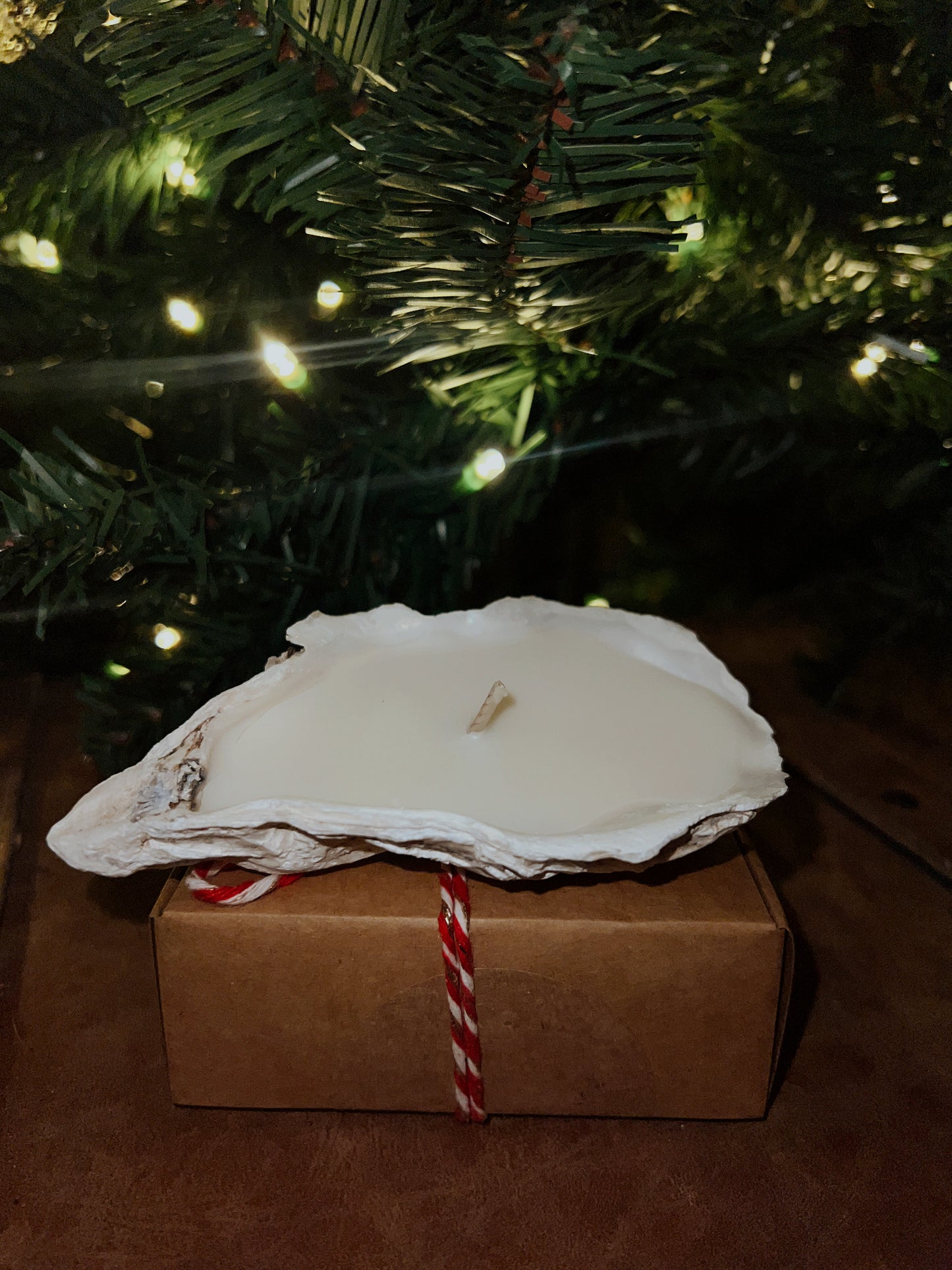 Natural Oyster Coconut Soy Candle