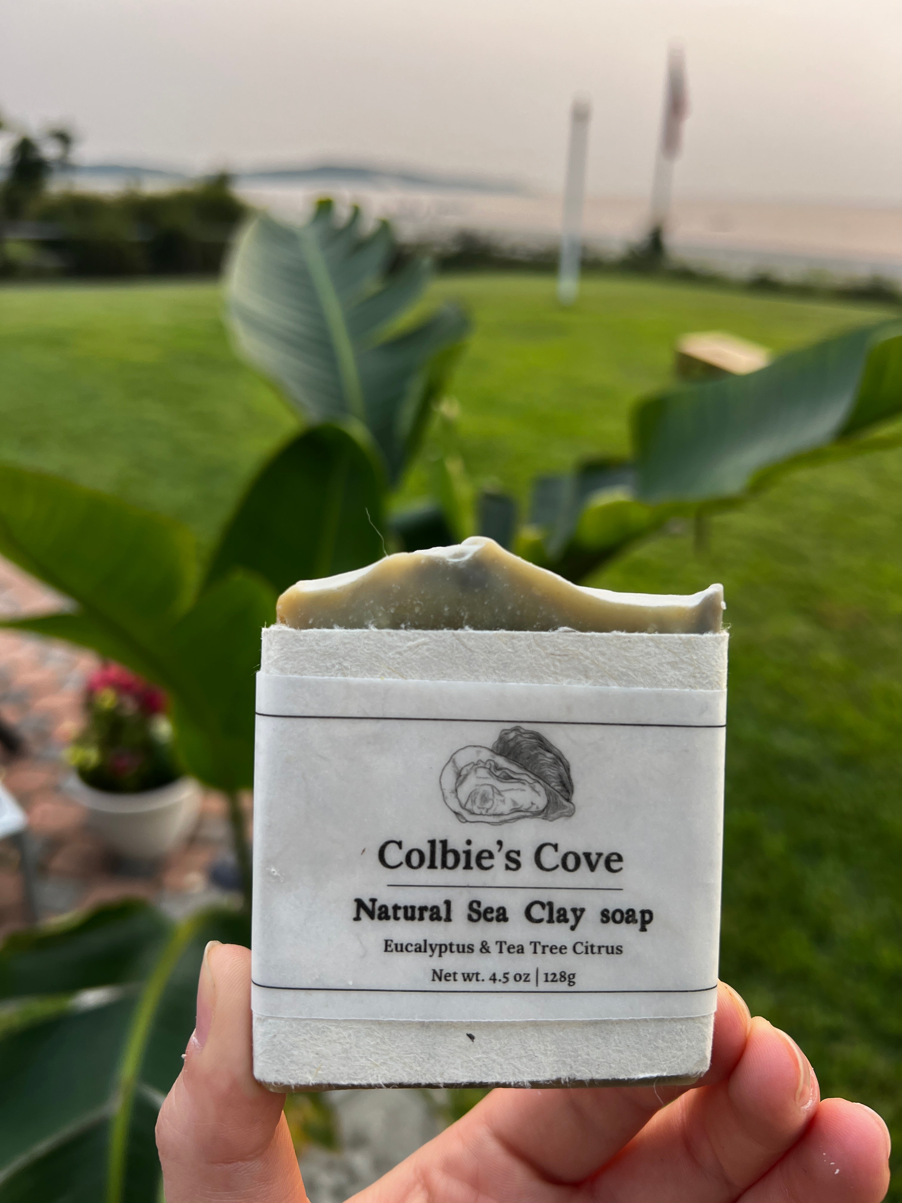 Tea Tree Eucalyptus Sea Clay Soap